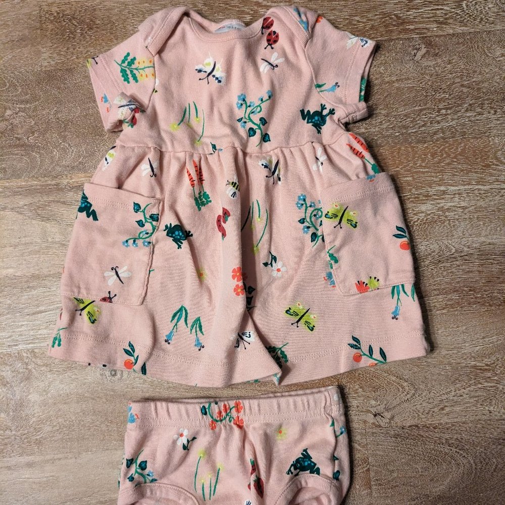 Hanna Andersson Baby Girls Pink Dress with Flowers and Insects size 3-6 Months